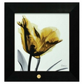 Art Print - "Yellow Tulip" by Albert Koetsier